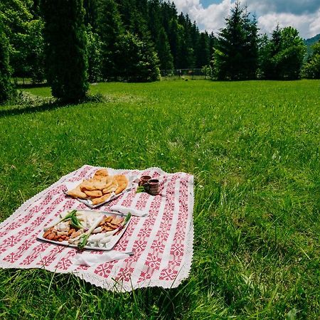 Casute Valea Zanelor Hotel Covasna Bagian luar foto