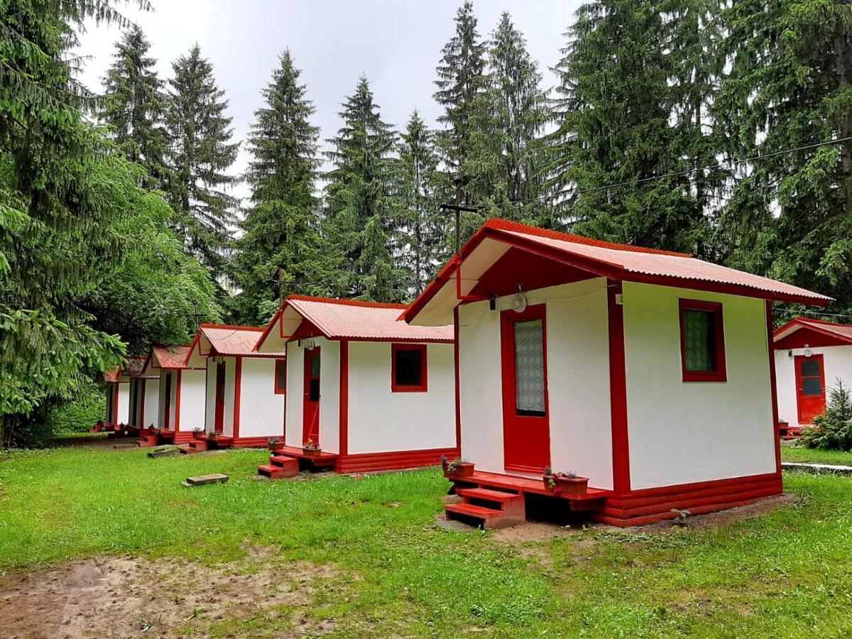 Casute Valea Zanelor Hotel Covasna Bagian luar foto