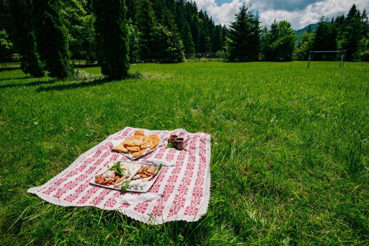 Casute Valea Zanelor Hotel Covasna Bagian luar foto