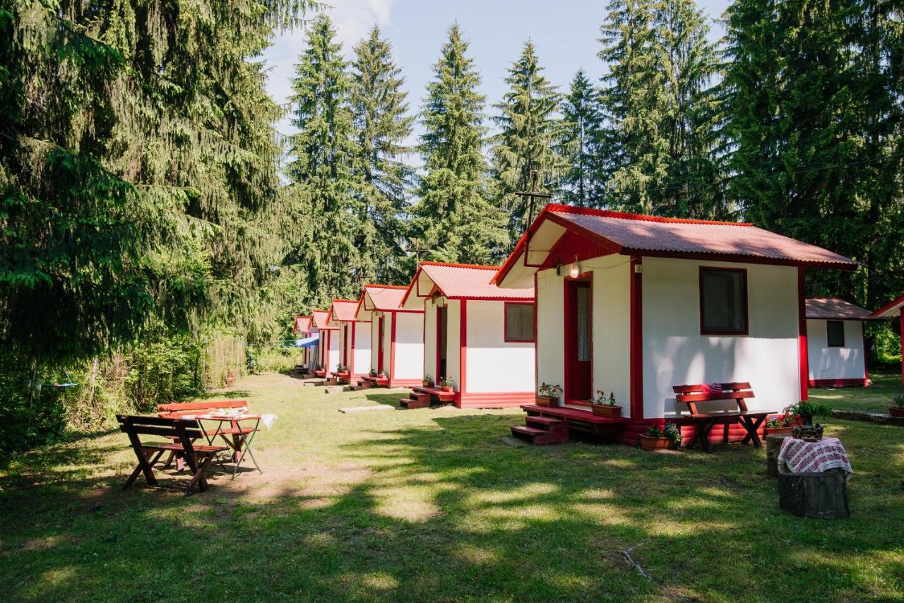 Casute Valea Zanelor Hotel Covasna Bagian luar foto